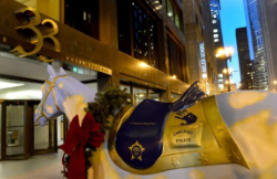 Chicago Police Memorial Foundation